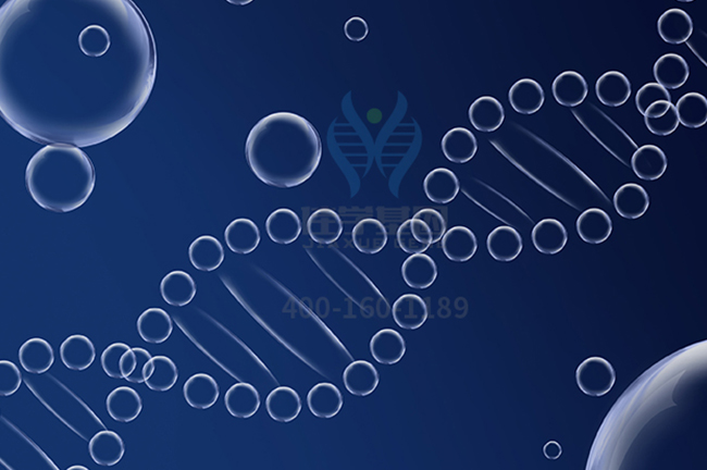 【佳学基因案例】苯丙酮尿症基因检测、基因解码